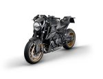 2023 KTM BRABUS 1300 R Masterpiece Edition