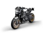 2023 KTM BRABUS 1300 R Masterpiece Edition